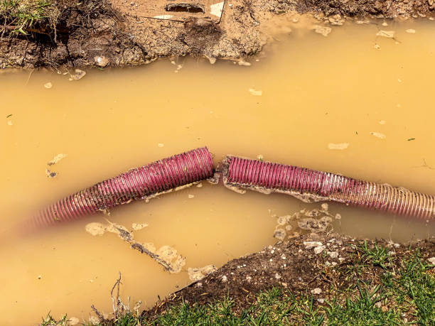 Professional Water damage restoration in Bluff City, TN